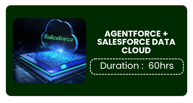 AGENTFORCE + SALESFORCE DATA CLOUD