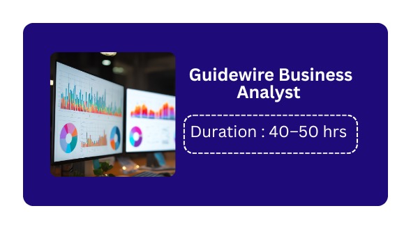 GUIDEWIRE BUSINESS ANALYST