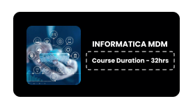 INFORMATICA MDM
