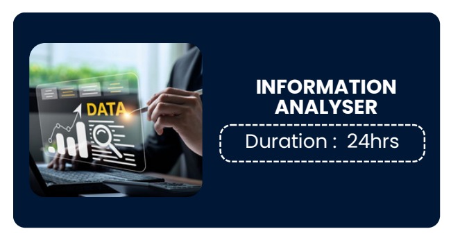 INFORMATION ANALYSER