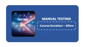 MANUAL TESTING
