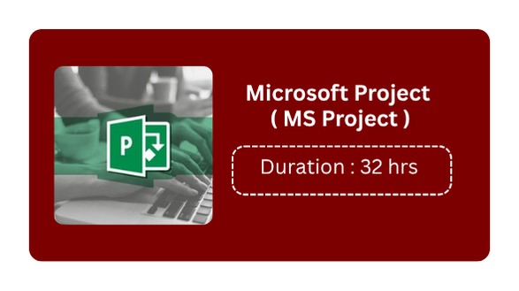 MICROSOFT PROJECT (MS PROJECT)