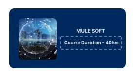 MULESOFT