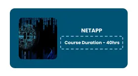 NETAPP