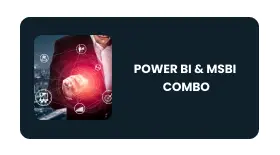 POWER BI & MSBI COMBO