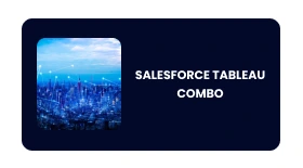 SALESFORCE TABLEAU COMBO
