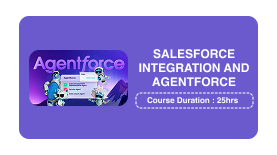 SALESFORCE INTEGRATION AND AGENTFORCE