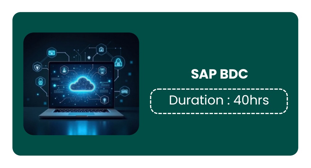 SAP BUSINESS DATA CLOUD (BDC)