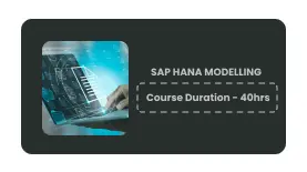 SAP HANA MODELLING