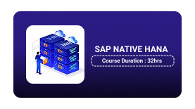 SAP NATIVE HANA