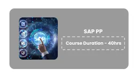 SAP PP