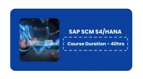 SAP SCM S4/HANA