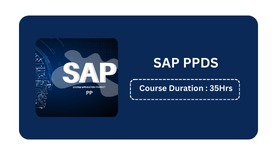 SAP PPDS