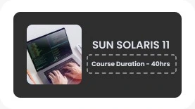 SUN SOLARIS 11