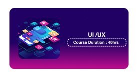 UI /UX