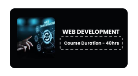 WEB DEVELOPER