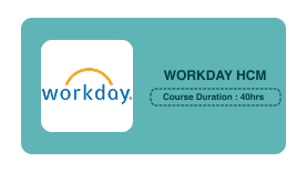 WORKDAY HCM